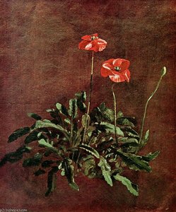 Study For Poppies Sun — John Constable