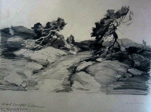 Wind Sculpted Cedars — Alfred Heber Hutty