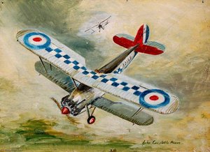 Bristol Bulldog Iia, 19 Squadron — John Constable Reeve