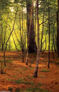Forest Glen