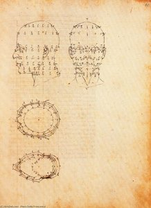Elevation Of A Human Head — Piero Della Francesca, Italian Renaissance