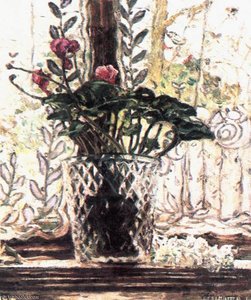 Cyclamen — Izsak Perlmutter