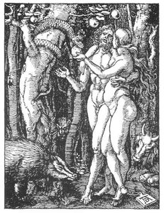 The Fall — Albrecht Dürer