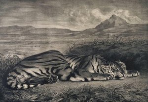 Le Tigre Royale — Eugène Delacroix