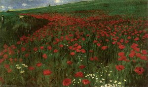 A Field of Poppies