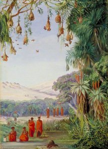 Vegetation Of The Addo Bush With Kaffirs And Their Habitations — Marianne North