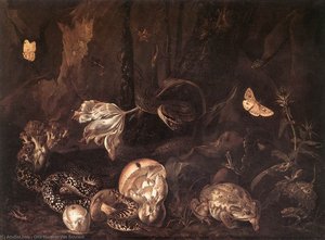 Still-life With Insects And Amphibians — Otto Marseus Van Schrieck