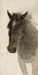 Head And Shoulders Of A Horse — David Cox