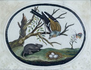 Medallion With Goldfinch - Detail Of The Fireplace — Salvatore Cardelli