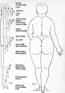 Rear View Of The Female — Albrecht Dürer