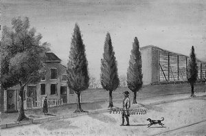Strawberry Pedlar — William P Chappel