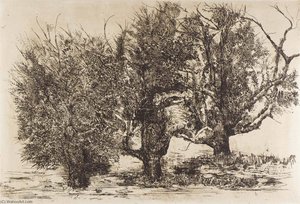 Trees