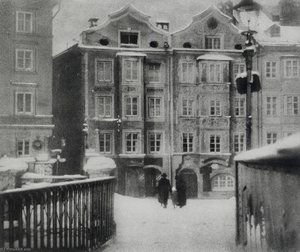 Untitled (aqr9xr) — Heinrich Kühn