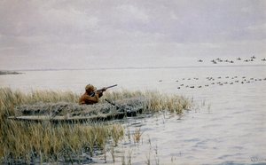 Duck Shooting from a Blind