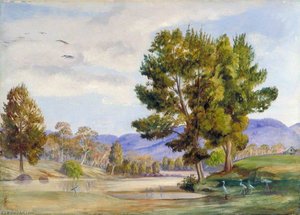 She Oak Trees On The Bendamere River, Queensland, And Companion Birds — Marianne North