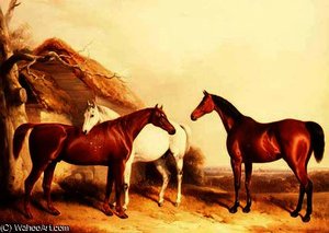 Outside the Stable