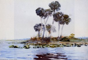 St. John's River, Florida — Winslow Homer, Contemporary Realism