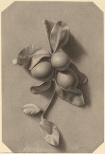 A Sprig Of Plums — William Michael Harnett