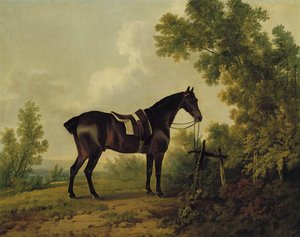 A Saddled Bay Hunter In A Wooded Landscape — Sawrey Gilpin