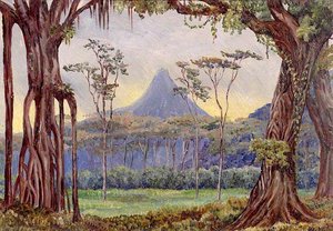 Krakatau Volcano, Ngantang, Java — Marianne North