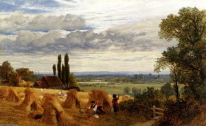 Harvesting near newark priory ripley surrey