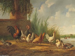 Poultry Near The Waterfront — Albertus Verhoesen