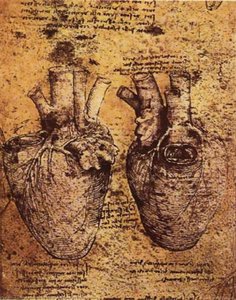 Heart And Its Blood Vessels — Leonardo Da Vinci