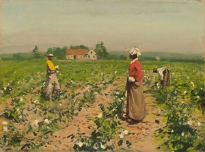 Picking Cotton — Gilbert Gaul