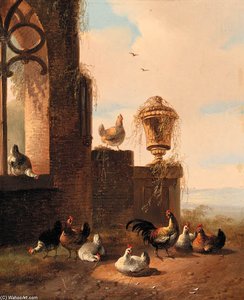 Rooster And Chickens Near A Ruin