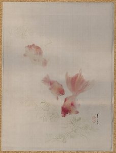 Gold Fishes — Watanabe Seitei