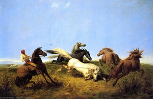Hunting Wild Horses