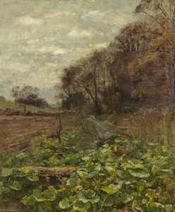Burdock