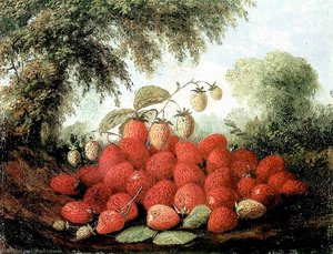 Strawberries Spilling From A Basket And Growing On A Bush — Paul Lacroix