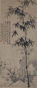 Orchids, Bamboo, and Rocks