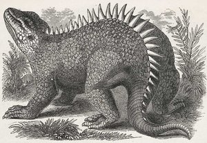 Hylaeosaurus