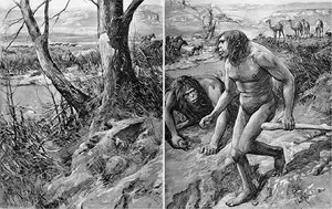 A Full Scan Of The Nebraska Man Illustration