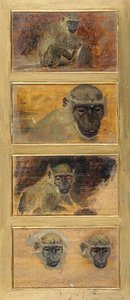 Etudes De Têtes De Singes — Louis-eugène Lambert