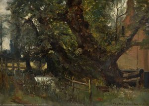 The Wych Elm — John Muirhead