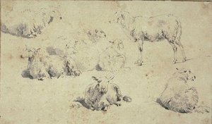 Sheet Of Eight Studies Of Sheep — Nicolaes Pietersz Berchem