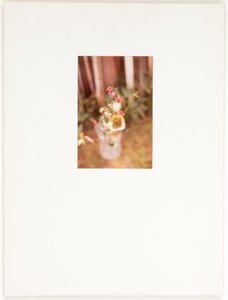 Untitled (flowers Near Wooden Fence) — Joseph Cornell