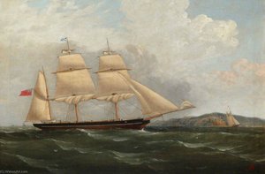 The Barque 'patricia' — Philip John Ouless