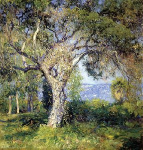 The oak
