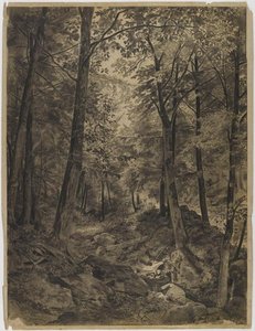 Forest Scene With Rocky Brook — William Trost Richards