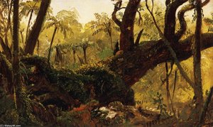 Rain Forest, Jamaica, West Indies — Frederic Edwin Church, Hudson River School