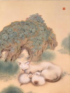 Cat — Inshō Dōmoto