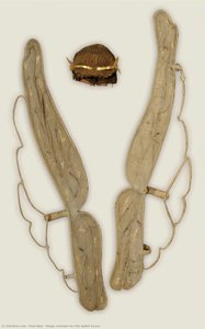Paul Ahyi