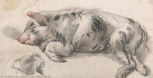 Sleeping Pig — James Ward