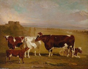 Portraits Of Cattle Of The Improved Short-horned Breed, The Property Of J. Wilkinson Esq. Of Lenton, Near Nottingham — Benjamin Marshall