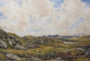 The Source Of The Lledr — Thomas Collier
