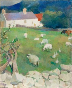 Mixed Farm, Slievenaman — Thomas James Carr